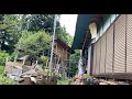 古民家は無事でしょうか？ドキドキしながらの帰宅！早々のスズメバチ撃退「くるりんぽん」技あり！＃スズメバチ退治　＃田舎暮らし