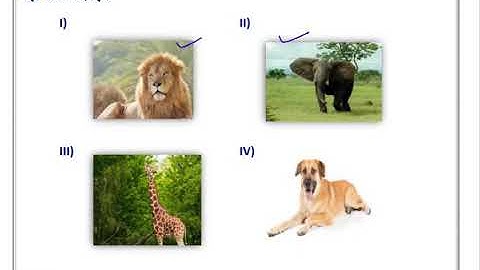 NDMC CLASS 3RD SST SOLVED WORKSHEET WEEK 9  TOPIC- BACCHO KI DILLI[ BHAG 1]