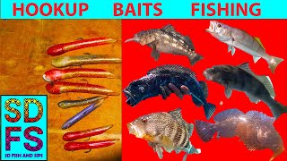 FISHING HOOKUP BAITS How to CATCH Inshore Saltwater California Fish Using  Lures - Part 2 of 6 