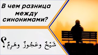 В чем разница между словами (شَيْخٌ وعَجُوزٌ وهَرِمٌ ) в значении – старый человек?