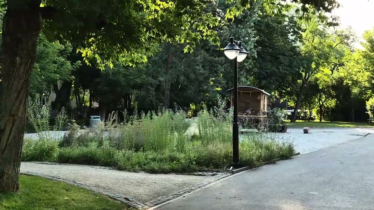 Samsung Galaxy Z Flip7, Video Sample (Super Steady Stabilisation)