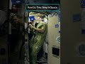 איך הם ישנים בחלל שורטס איך הם ישנים בחלל שורטס