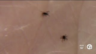 Tick cases rise due to mild winter