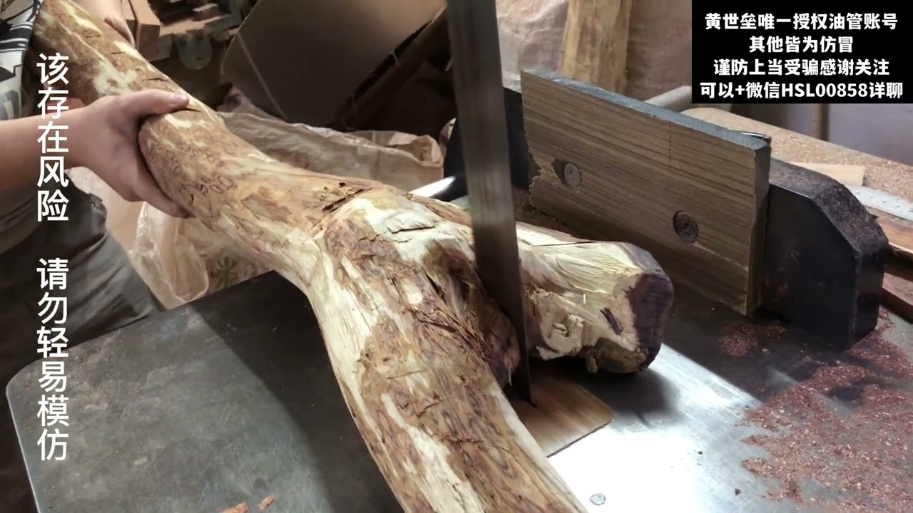 海南黄花梨火山口原木料"千目"鬼眼展示、设计、摆件制作全纪录
