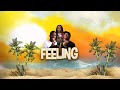 Feeling - Nz Gang [VIDEO LYRICS]