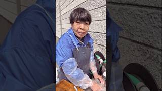 最高の仕事場です