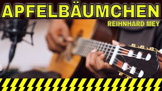 Reinhard Mey - Mein Apfelbäumchen | Pater Manuel