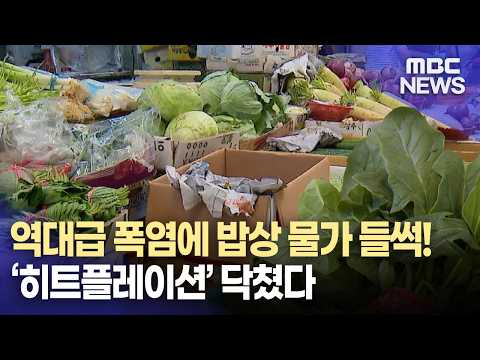 폭염에 채솟값 상승..'히트플레이션' 닥쳤다(2026.8.11/뉴스데스크/MBC경남) thumbnail