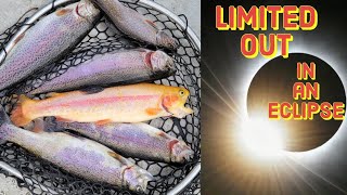 Limited out in an eclipse trout fishing with surprise muskie catch