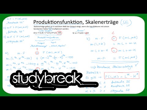 Produktionsfunktion, Skalenerträge | Mikroökonomie