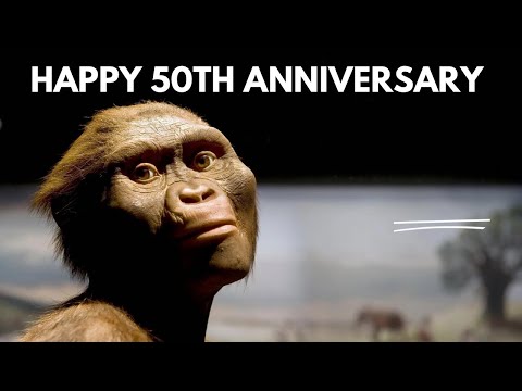 Celebrating 50 Years of Lucy: A Glimpse into Our Ancient Past with a 3D Skull Model