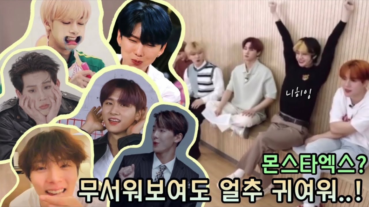 [몬스타엑스] 몬베베 확신의 힐링영상/ 몬스타엑스 효과음 모음집