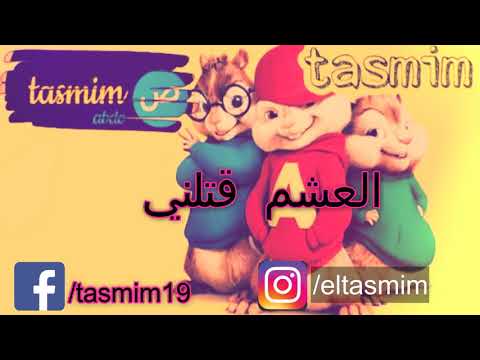 اغنيه احمد شيبه العشم قتلني غناء السناجب