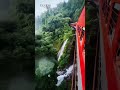 Tren en Sri Lanka, una maravilla #shorts #srilanka