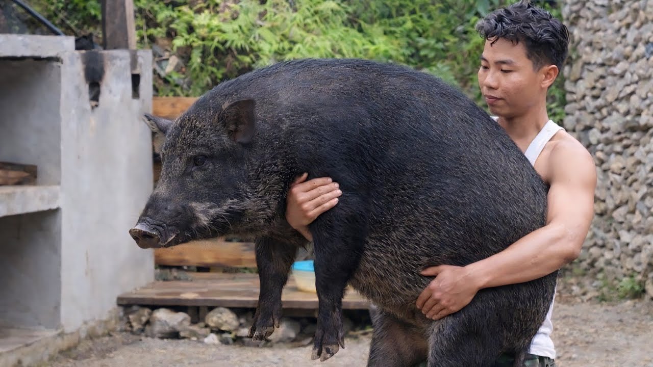 A Day in the Forest: From the Camp to the Highland Market