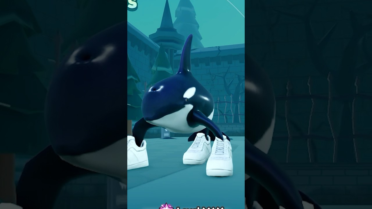 ПРОКЛЯТЫЕ МОЗГОРОДИЦЫ 🐋 