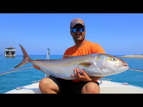 Yeni Teknemin Rekor Balığı Kaç Kg Geldi? / Giant Amberjack Fishing