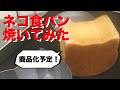 【焼いてみた】型を使ったネコ食パン