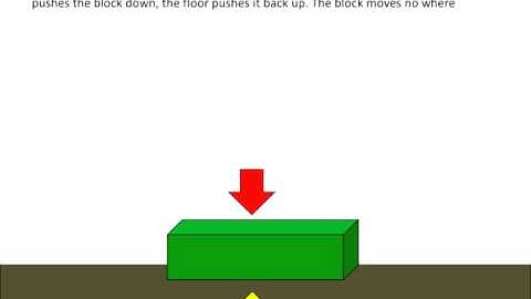 Introduction to Newton