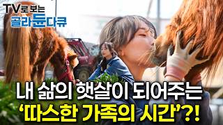 내 삶의 햇살이 되어주는 '따스한 가족의 시간'?!ㅣ내 삶의 햇살, 가족ㅣ한국기행