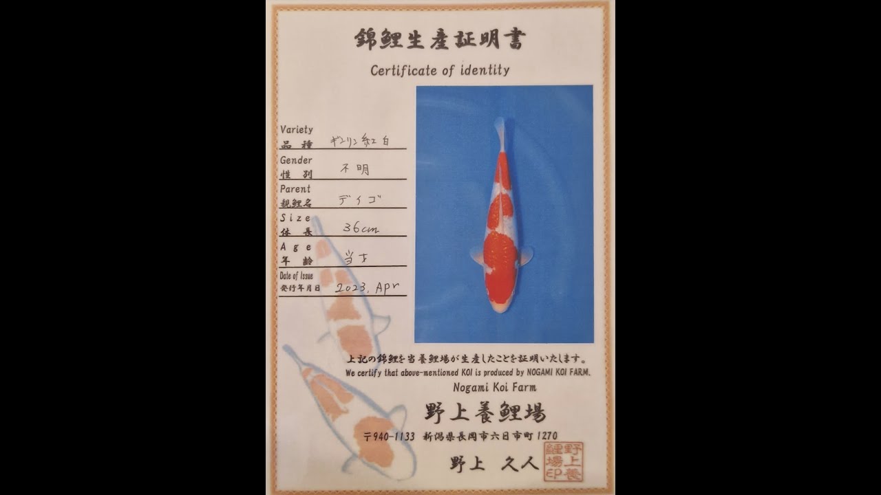 Azukari Challenge Japan 2023