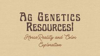 How to learn Color Genetics via a game!