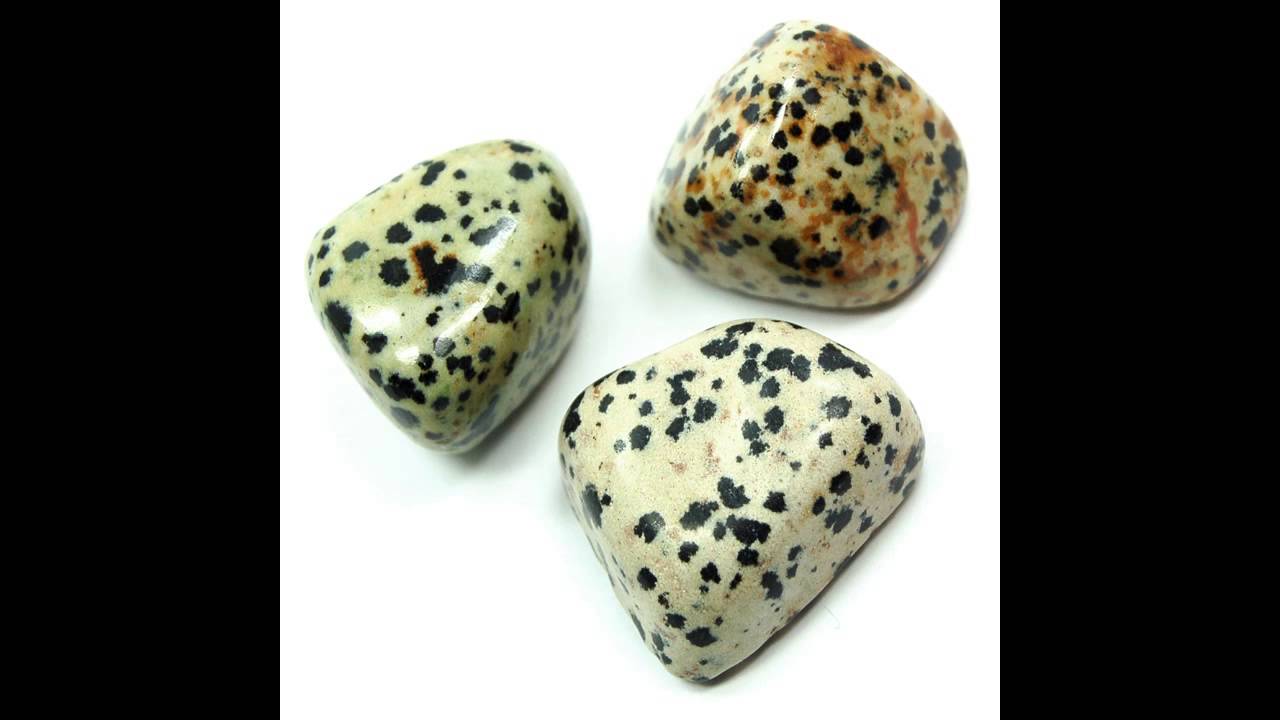Healing Crystals Dalmatian Jasper Information Video