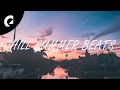 1 hour of chill royalty free summer beats  instrumental hiphop  soft house royalty free music