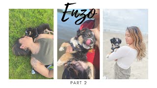 Enzo Vlog | Part 2