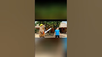 Cách capy và anh hái xoài giúp bà #capybara