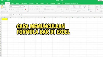 CARA MUNCULKAN MENU FORMULA BAR DI EXCEL