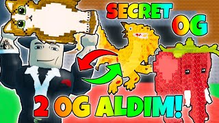 2 Og Brai̇nrotu Tek Vi̇deoda Aldim - Steal A Brainrot Türkçe