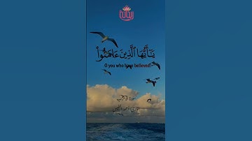 إن الله وملائكته يصلون على النبي// #سورة_الأحزاب #احمد_النفيس #ريحانة_قرآن #قرآن #تلاوات_خاشعة