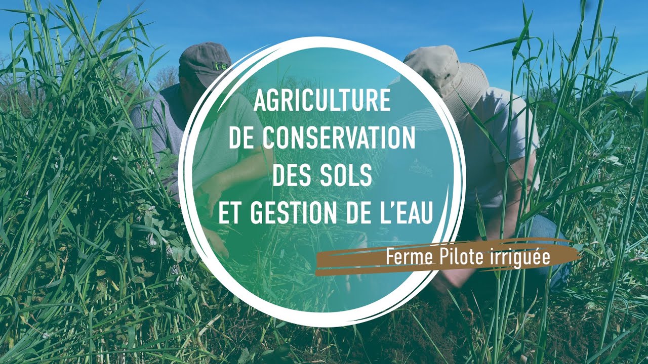 Agriculture de Conservation des Sols et Gestion de l'eau - YouTube
