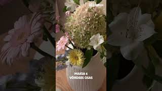 Mööblikollektsioon | BIGBOX