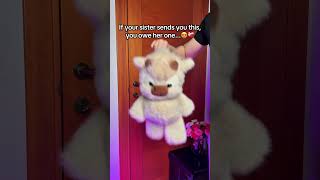 Get it from https://holopets.store 🧸🥰 #giftforher