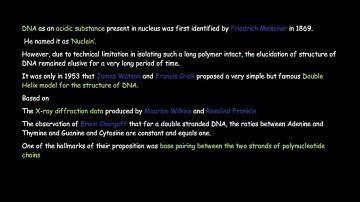 Double helix model of DNA