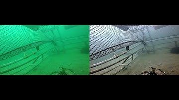 Minimal Color Loss and Locally Adaptive Contrast Enhancement for Underwater Image Enhancement