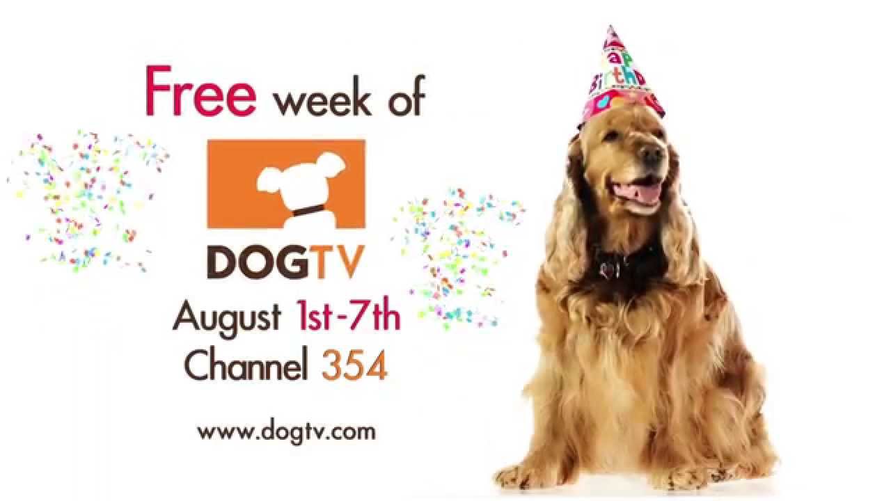 puppy paradise Free week of DOGTV on DIRECTV!