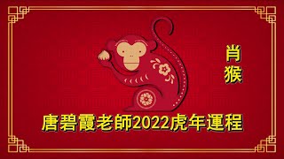 猴 - 虎年2022十二生肖運程 - 碧霞老師