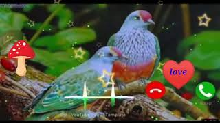 New sad ringtone 2021 | Love Ringtone 2021 | Mobile Ringtone | New Hindi ringtone 2021 |June 6, 2021 screenshot 4