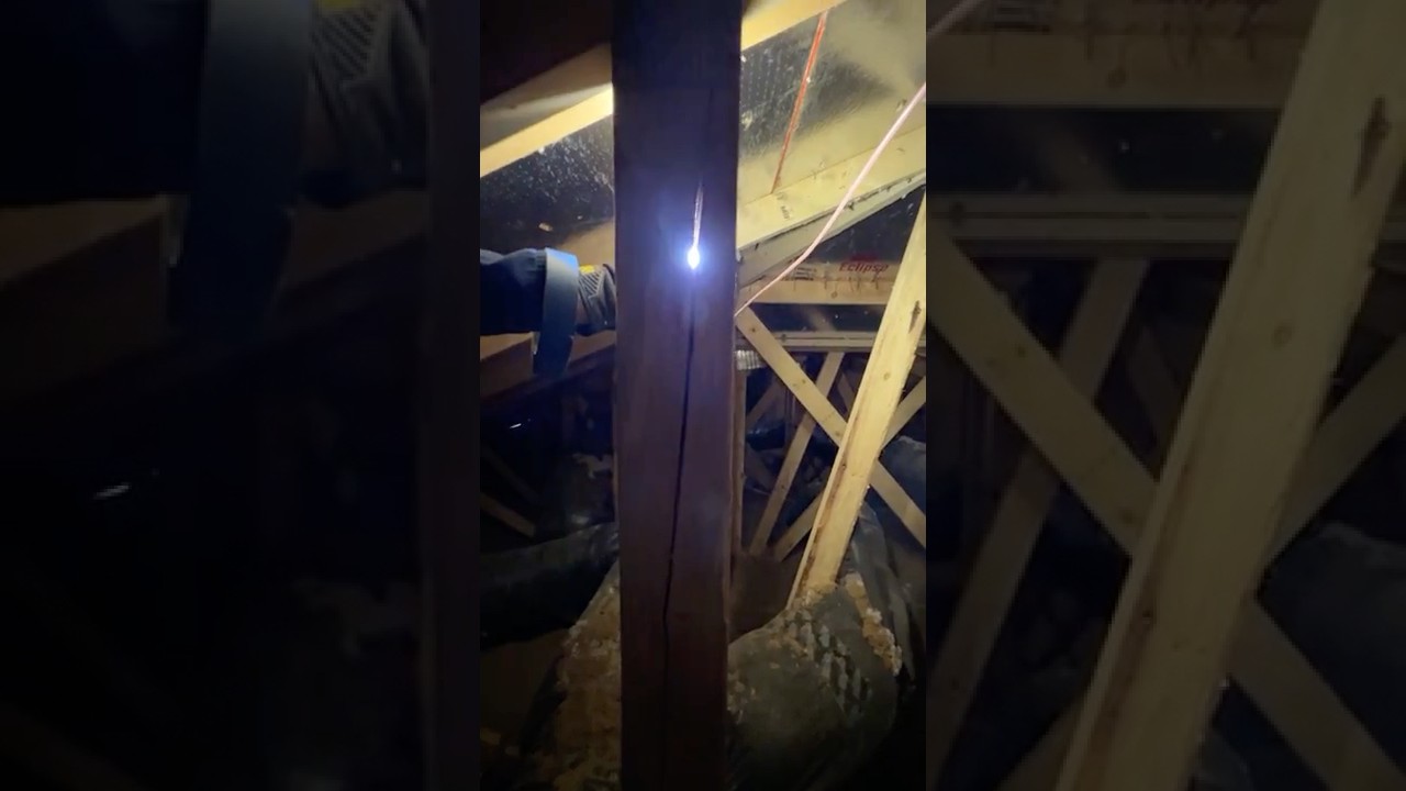 Снова последовал за своим ненавистником