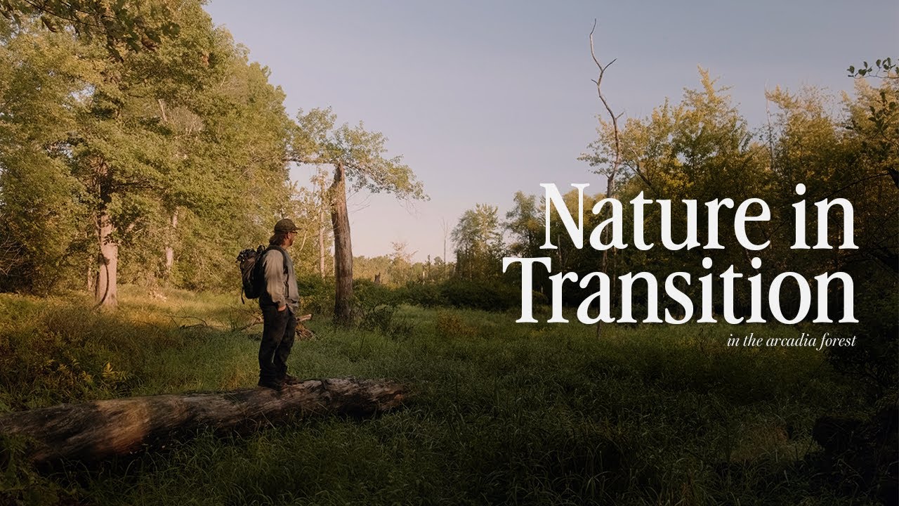 Nature in Transition | Horseman VH