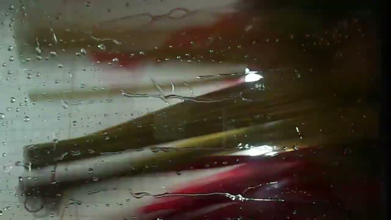 (OLD VIDEO) AUTEC Model 260 Soft Touch Car Wash YouTube