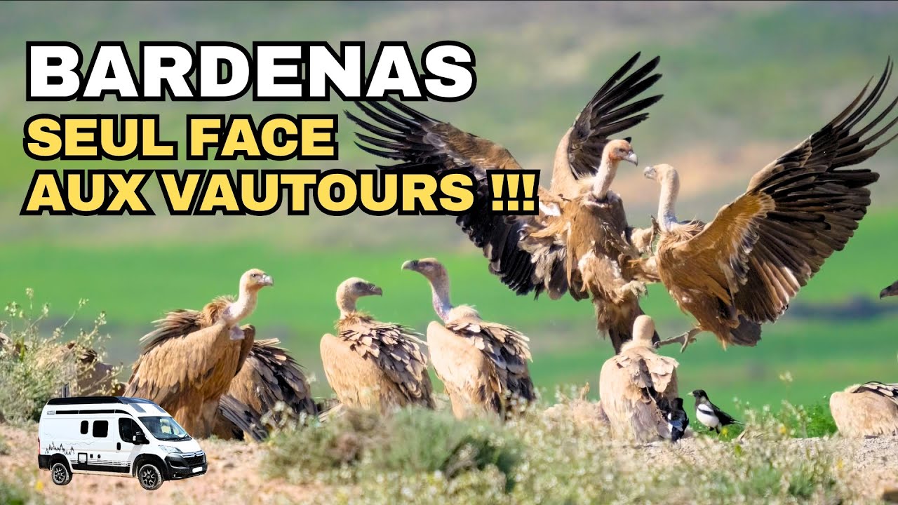 #3 BARDENAS Incroyable rencontre ! 