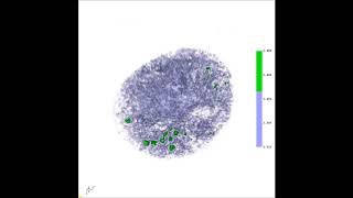Molecular Camouflage of Plasmodium falciparum Merozoites by Binding of Host Vitronectin to P47