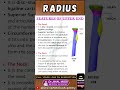 Radius Bone Upper End Features & Homology | Anatomy for Beginners