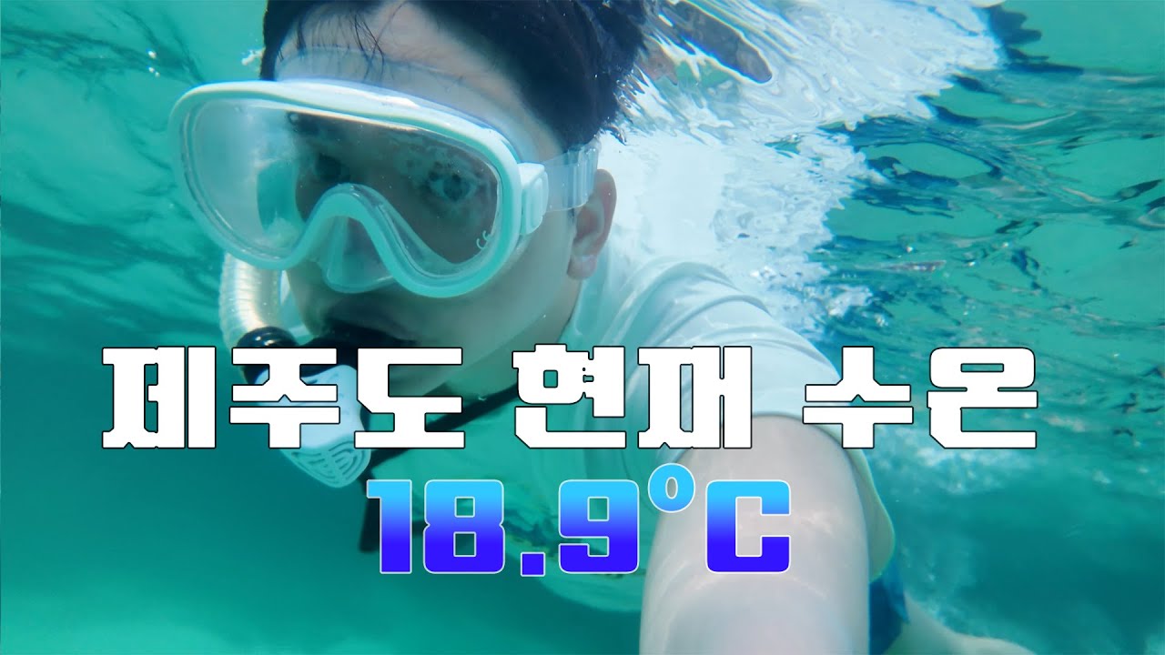 에메랄드 제주 바다 지금 들어가도 되냐구요?