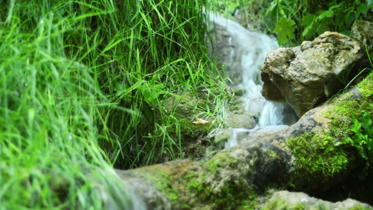 Piano Music for Stress Relief, Healing, Meditation #relaxing #relaxingmusic #viral