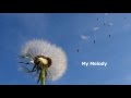 シン・スンスフン신승훈 My Melody (日本語訳&amp;韓国語発音ルビ)